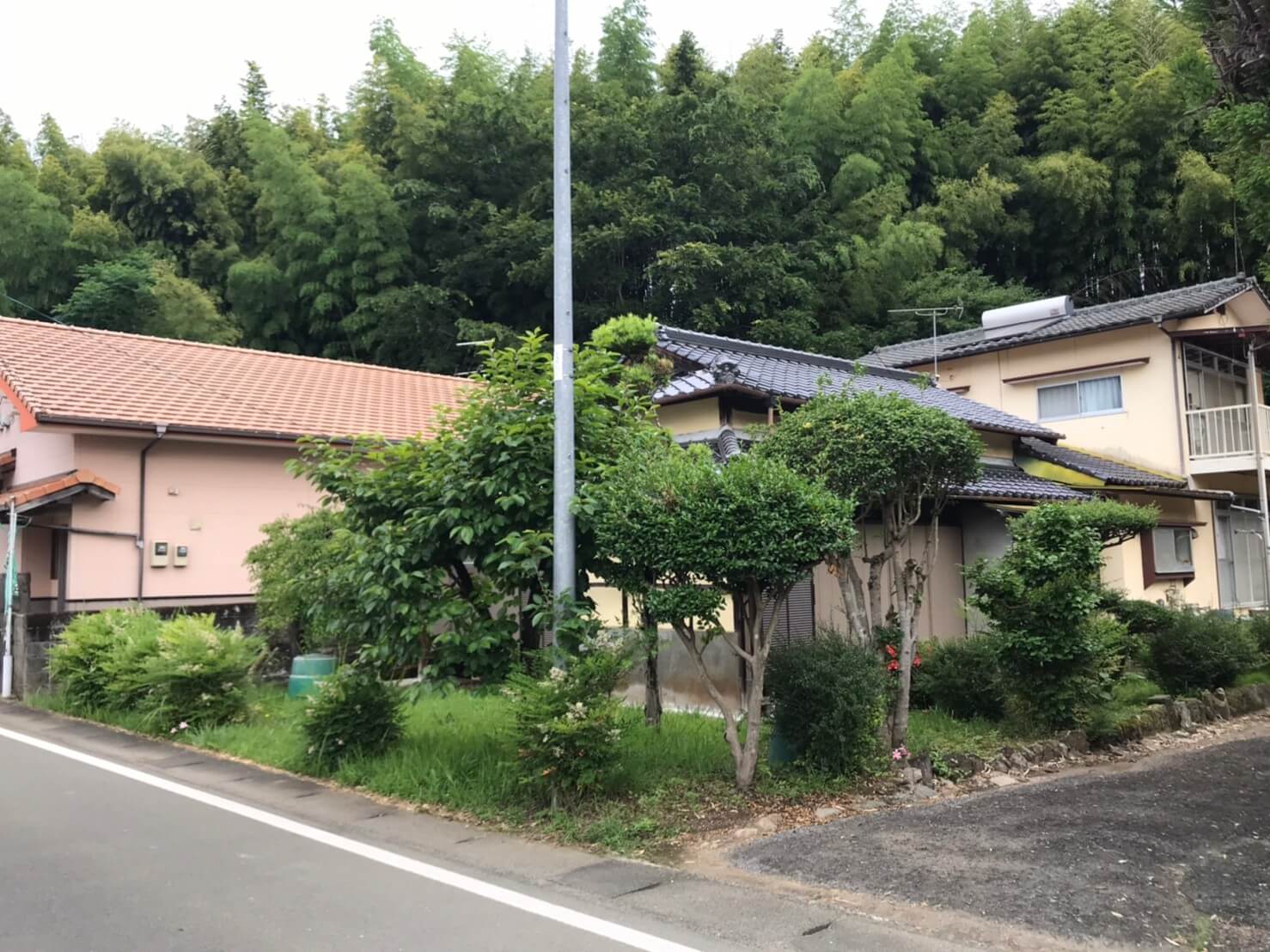 お庭の庭木、そして雑草も伸び始めていますね！